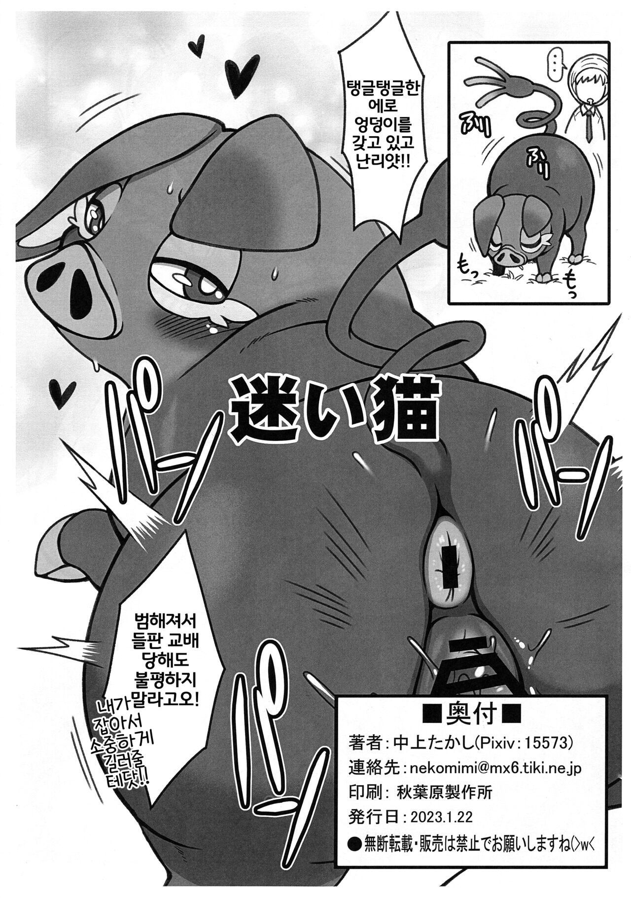 (Shinshun Kemoket 9) [Mayoineko (Various)] Nyaoha DE Tatta! | 나오하 RO 섰대! (Pokémon) [Korean] [LWND] 이미지 번호 32