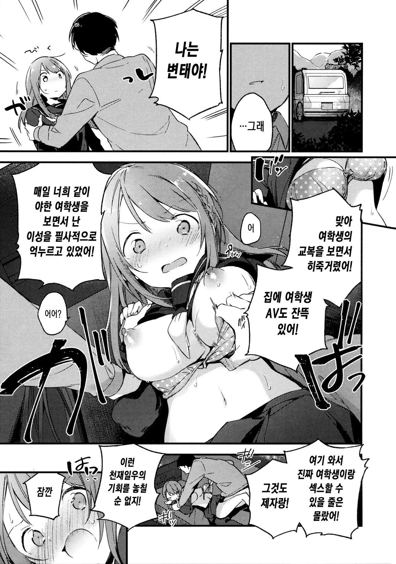 [Fujiyama] 비밀 + 토라노아나 한정 리플릿 ③ image number 14