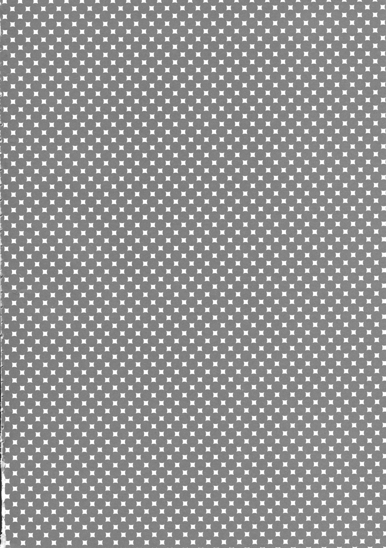 (C96) [REA (Kai Yuuji)] Gishiki no Susume (Touhou Project) 4eme image