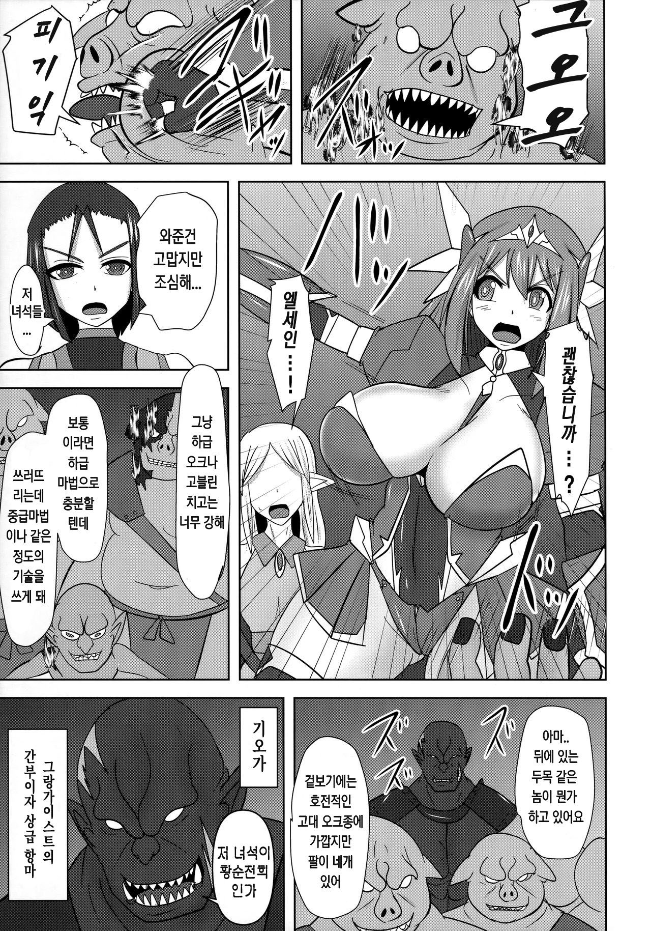 (C96) [FONETRASON (Ryutou)] Raygis Valicess Elsain "VANQUISHED SHIELD" | 황순전희 엘세인 "부서져버린 사람들의 방패" [Korean] image number 4