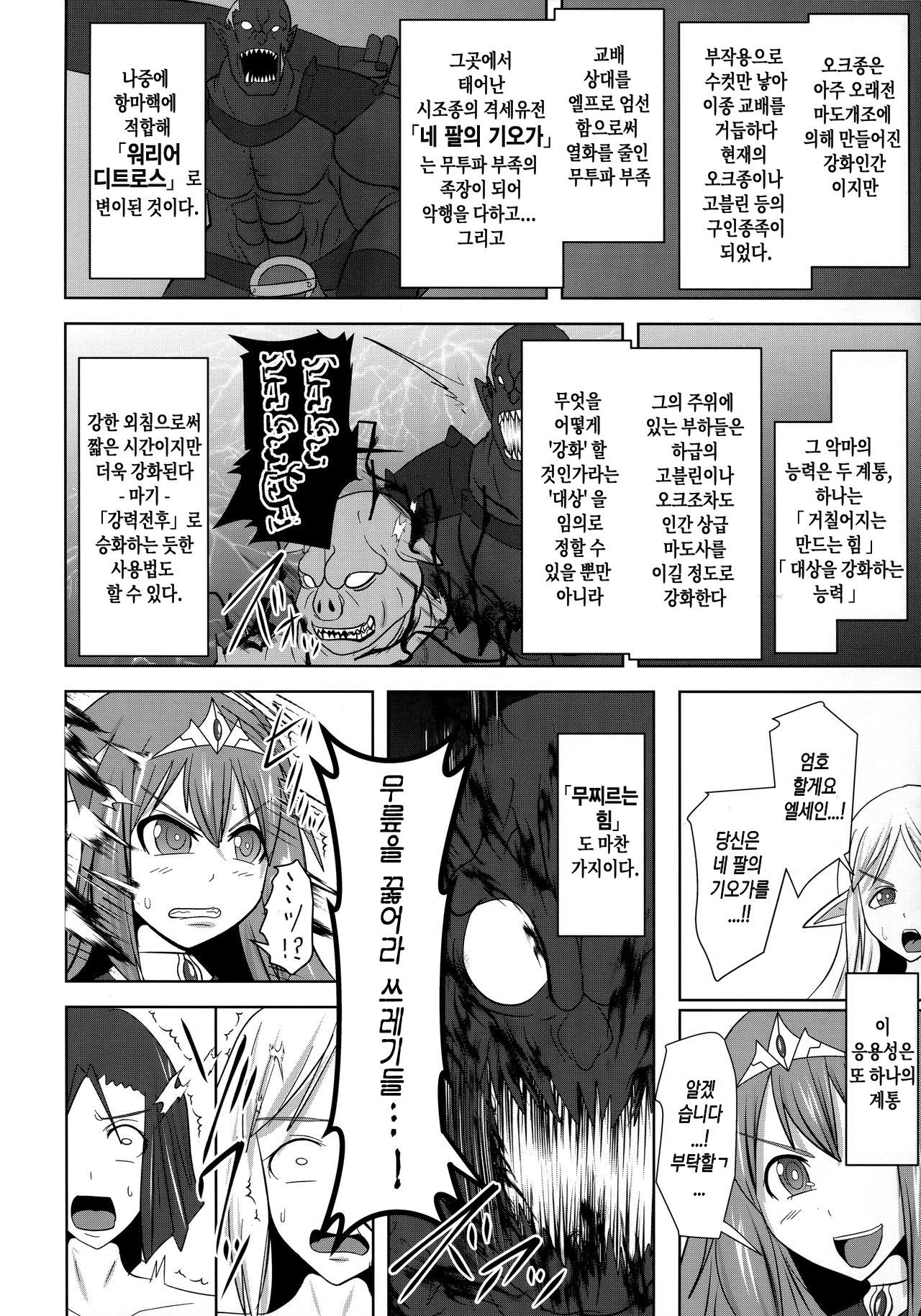 (C96) [FONETRASON (Ryutou)] Raygis Valicess Elsain "VANQUISHED SHIELD" | 황순전희 엘세인 "부서져버린 사람들의 방패" [Korean] image number 5