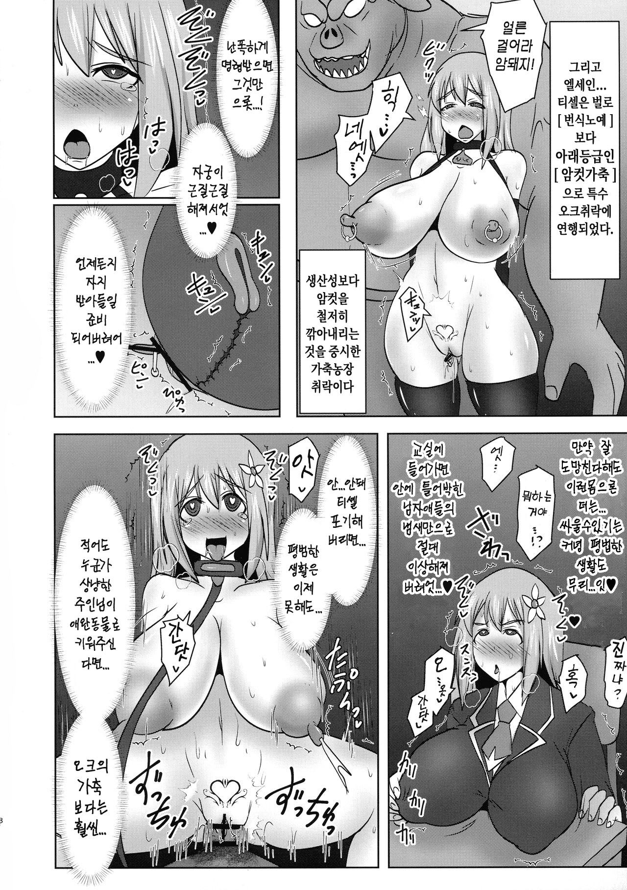 (COMIC1☆17) [FONETRASON (Ryutou)] Koujun Senhime Elsain VANQUISHED SHIELD 3 | 황순전희 엘세인 "부서져버린 사람들의 방패 3" [Korean] 8eme image