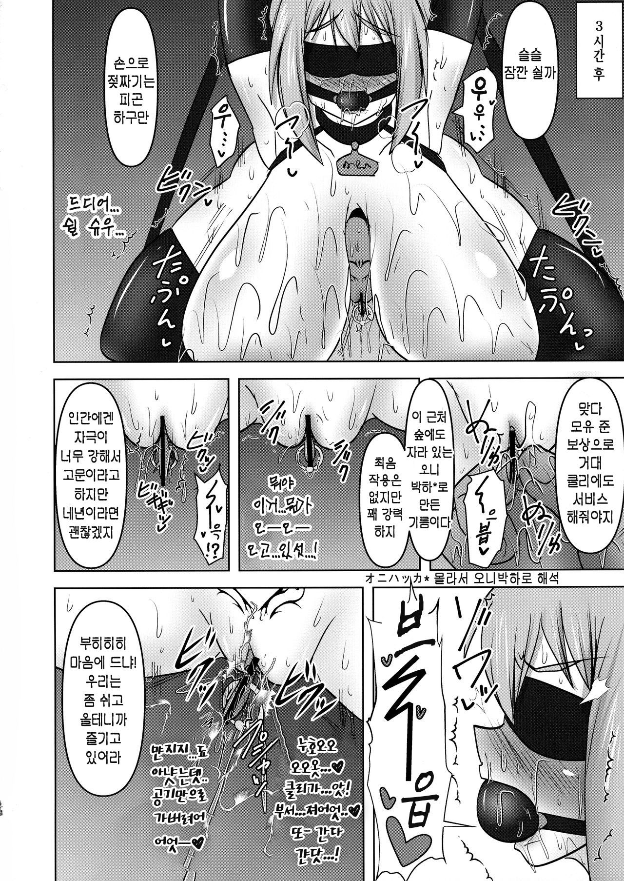 (COMIC1☆17) [FONETRASON (Ryutou)] Koujun Senhime Elsain VANQUISHED SHIELD 3 | 황순전희 엘세인 "부서져버린 사람들의 방패 3" [Korean] 14eme image