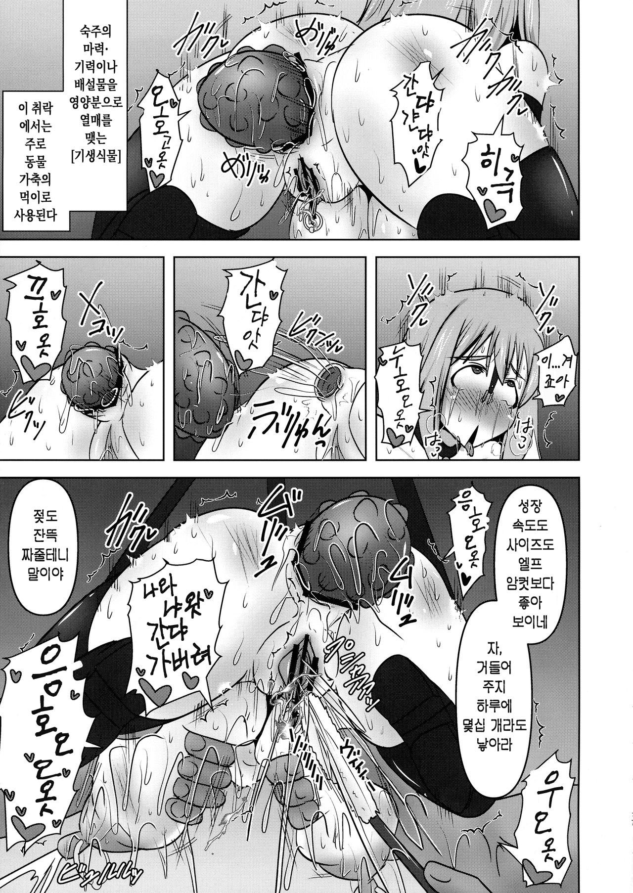 (COMIC1☆17) [FONETRASON (Ryutou)] Koujun Senhime Elsain VANQUISHED SHIELD 3 | 황순전희 엘세인 "부서져버린 사람들의 방패 3" [Korean] 17eme image