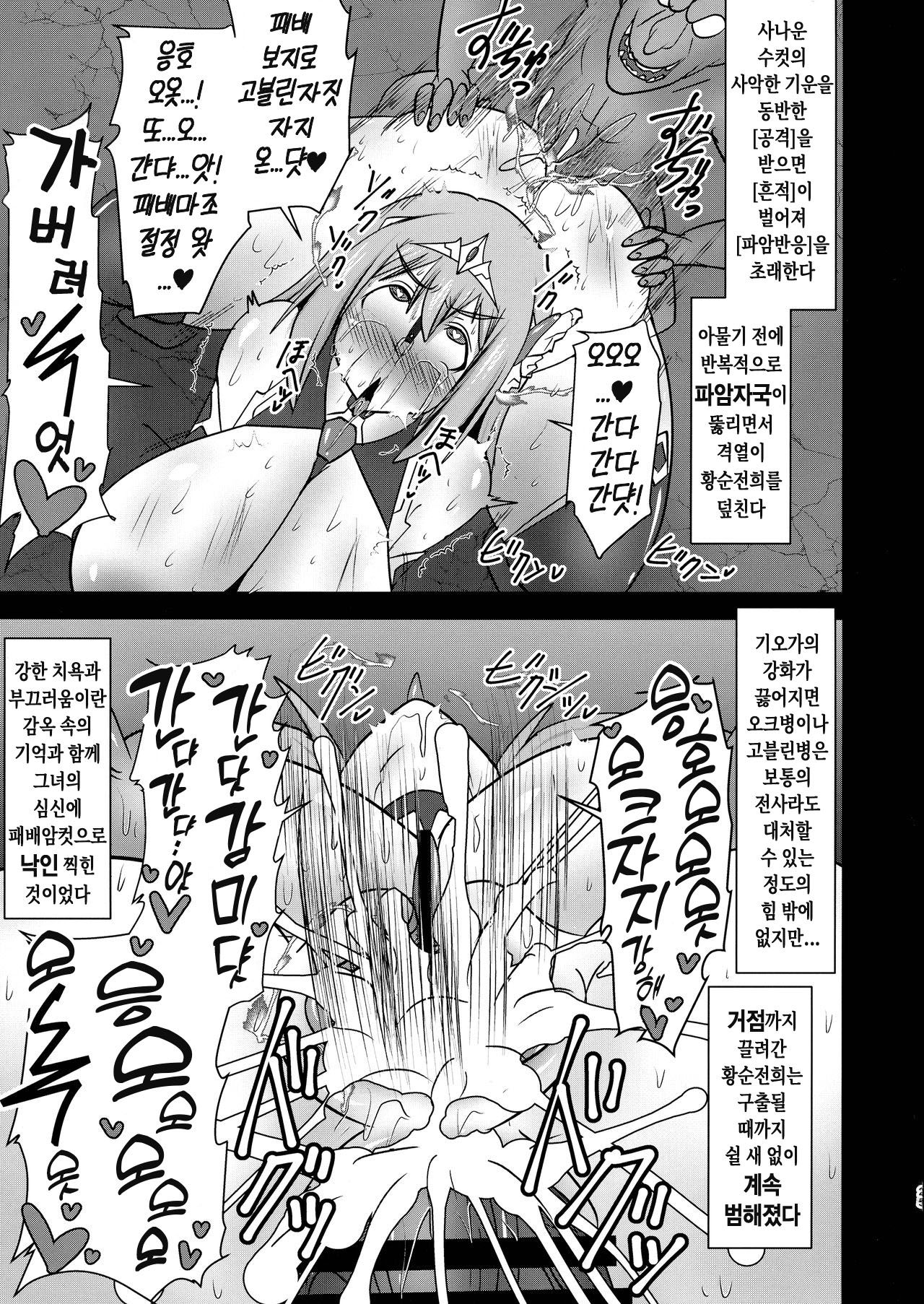(COMIC1☆17) [FONETRASON (Ryutou)] Koujun Senhime Elsain VANQUISHED SHIELD 3 | 황순전희 엘세인 "부서져버린 사람들의 방패 3" [Korean] 25eme image