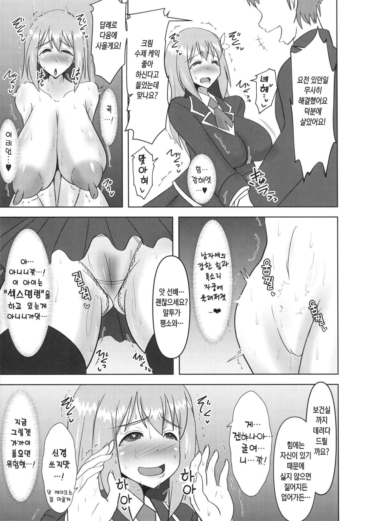 (C99) [FONETRASON (Ryutou)] Raygis Valicess Elsain "Haimesu Shoukougun" | 황순전희 엘세인 "패배암컷 증후군" [Korean] image number 6