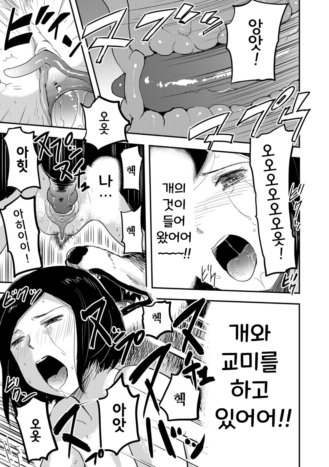 [Yamada Tahichi] Tsuma ga Inu ni Kawaru Toki -The Change of Human Being- | 아내가 암캐로 바뀔 때 (Kemono DIRECT 5) [Korean] [Decensored] [Digital] numero di immagine  15