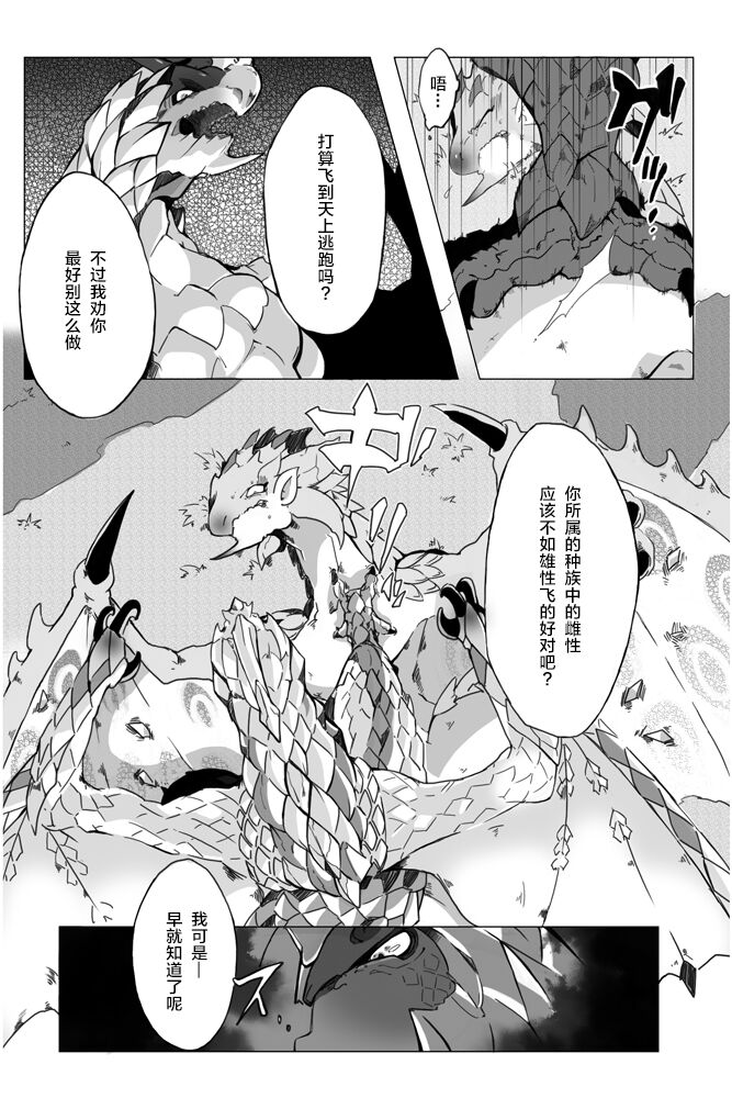 [Katagiri Maya] Seregios and Rathian | 千刃龙和雌火龙 (Monster Hunter) [Chinese] [ZX个人汉化] numero di immagine  6