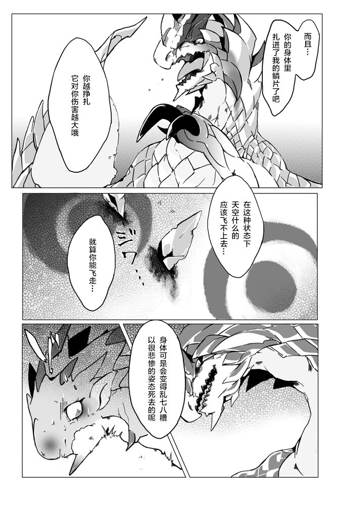 [Katagiri Maya] Seregios and Rathian | 千刃龙和雌火龙 (Monster Hunter) [Chinese] [ZX个人汉化] numero di immagine  7