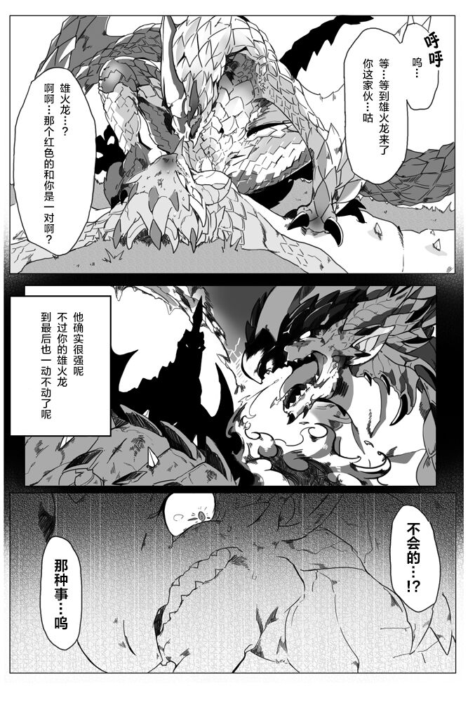 [Katagiri Maya] Seregios and Rathian | 千刃龙和雌火龙 (Monster Hunter) [Chinese] [ZX个人汉化] numero di immagine  8