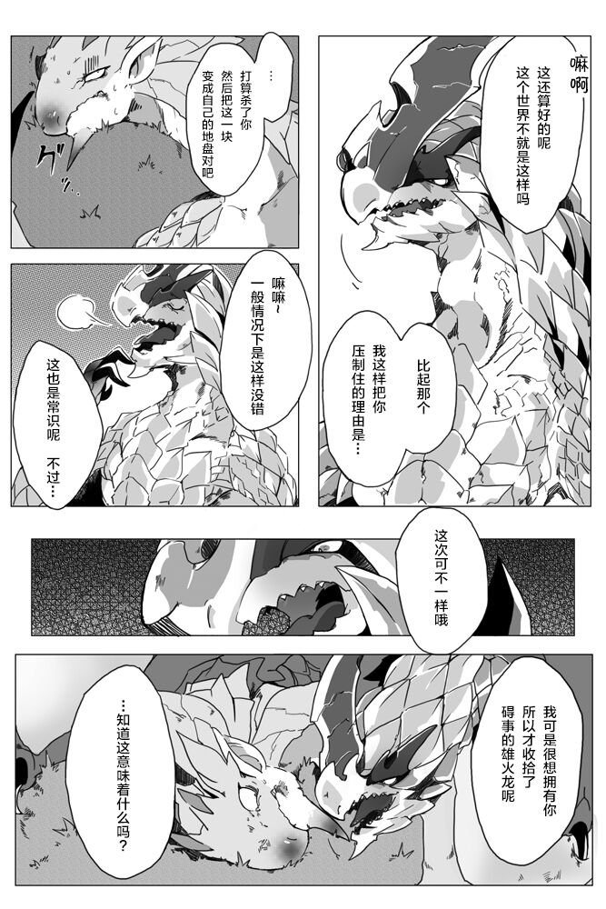 [Katagiri Maya] Seregios and Rathian | 千刃龙和雌火龙 (Monster Hunter) [Chinese] [ZX个人汉化] numero di immagine  9