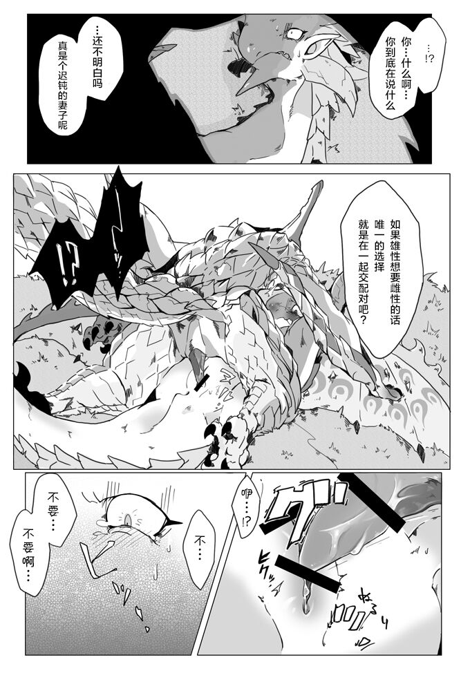 [Katagiri Maya] Seregios and Rathian | 千刃龙和雌火龙 (Monster Hunter) [Chinese] [ZX个人汉化] numero di immagine  10