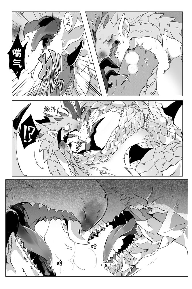 [Katagiri Maya] Seregios and Rathian | 千刃龙和雌火龙 (Monster Hunter) [Chinese] [ZX个人汉化] numero di immagine  12