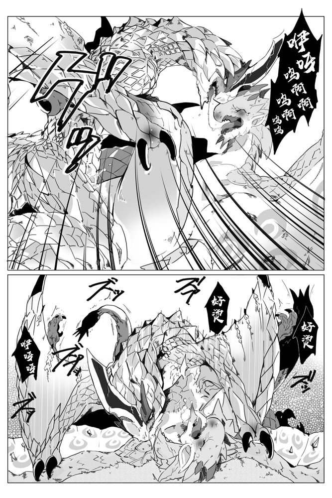 [Katagiri Maya] Seregios and Rathian | 千刃龙和雌火龙 (Monster Hunter) [Chinese] [ZX个人汉化] numero di immagine  14