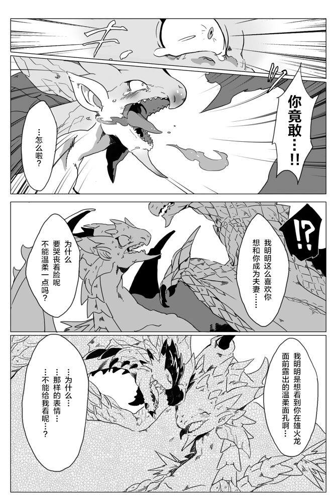 [Katagiri Maya] Seregios and Rathian | 千刃龙和雌火龙 (Monster Hunter) [Chinese] [ZX个人汉化] numero di immagine  18