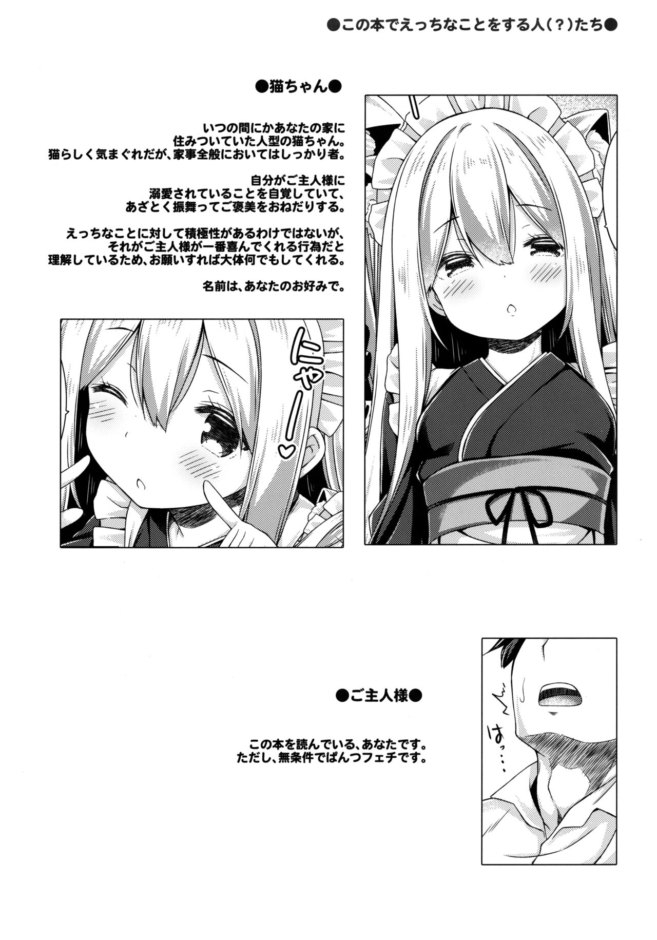 (Mega Akihabara Doujinsai 3) [Botugo (RYO)] Anata no Neko-chan Maid. Bildnummer 3