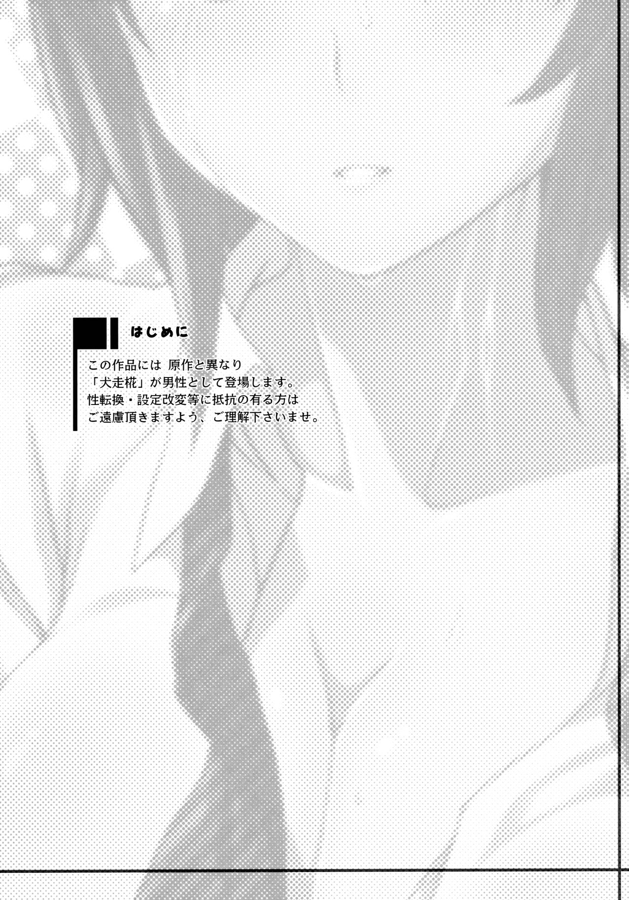 (C79) [Nami-nami Restaurant (Tsukinami Kousuke)] Kurou -crow- (Touhou Project) [Spanish][TheApofVerse] image number 3