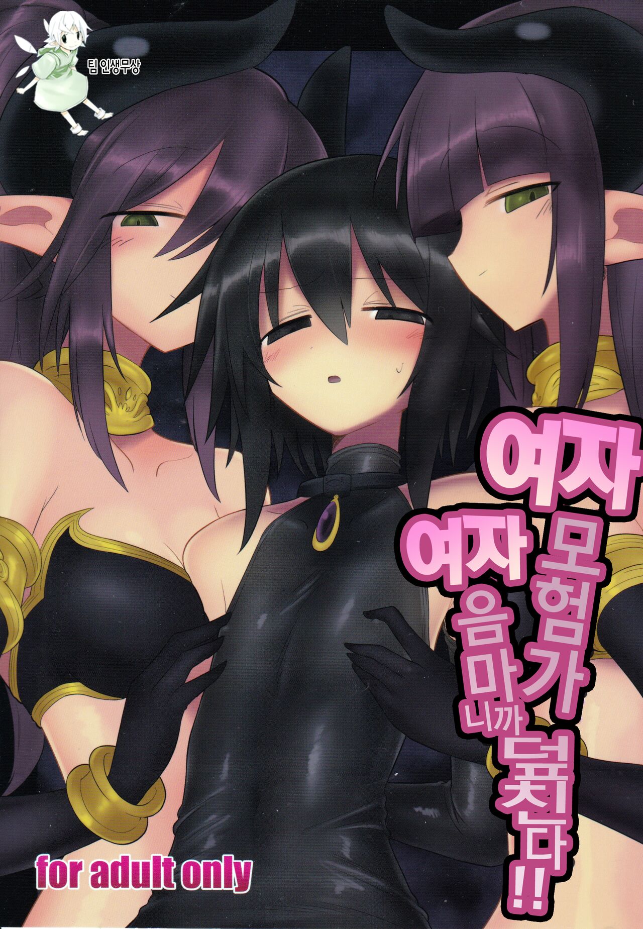 [Shadan Katsudoh (Kyuusuikei)] Onna Inma dakara Onna Boukensha Osou ne!! | 여자 음마니까 여자 모험자 덮친다!! [Korean] [팀 인생무상] [Digital] изображение № 1