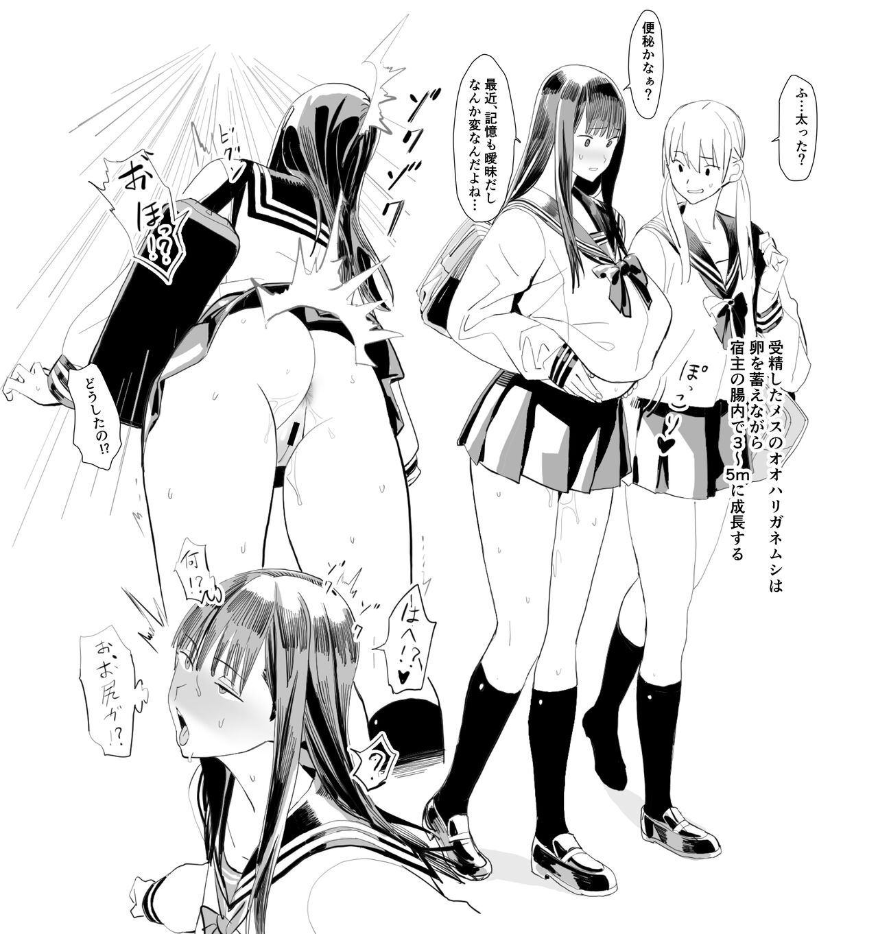 [Velzhe] Oohariganemushi No Seitai 图片编号 8