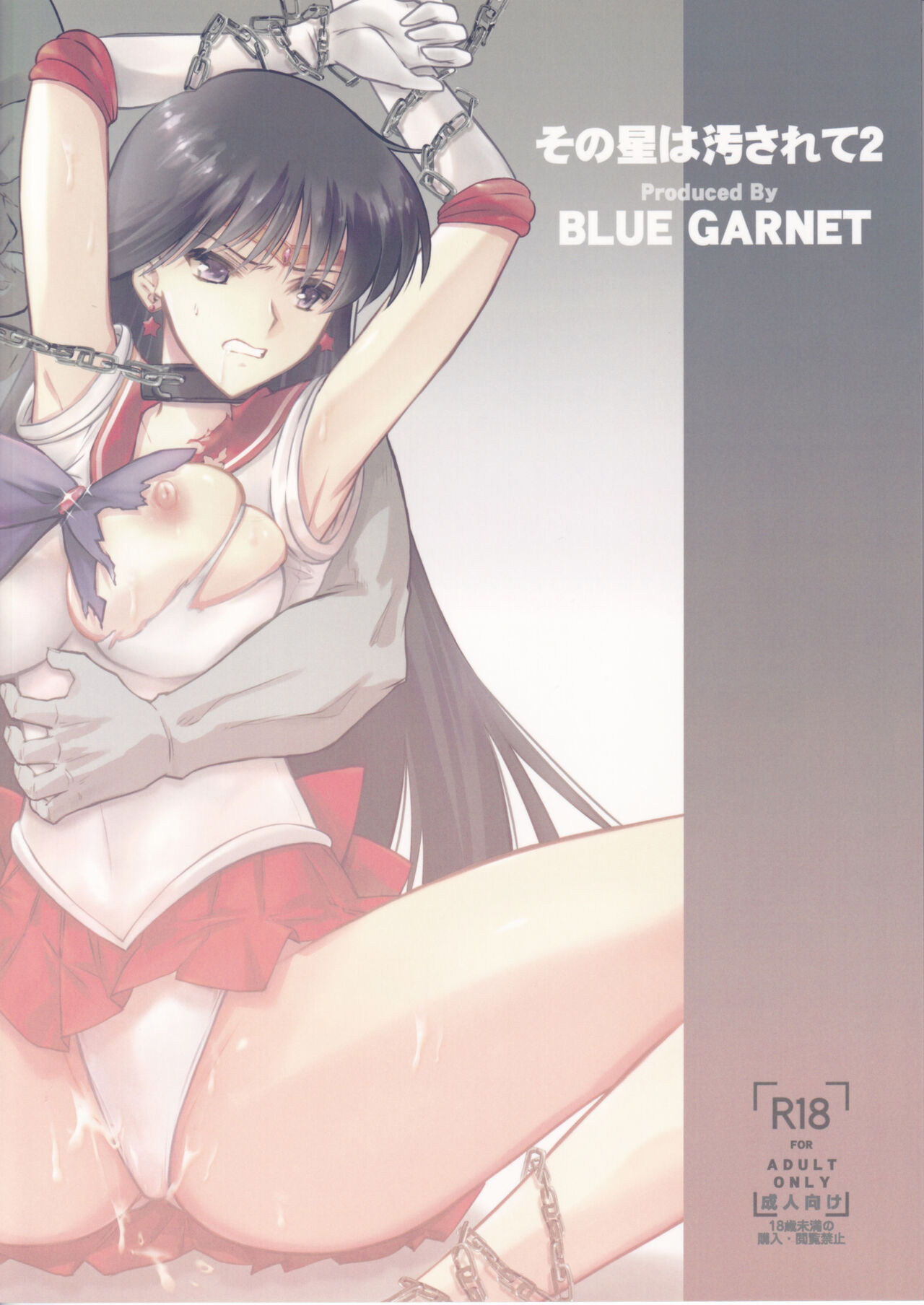 (C101) [BLUE GARNET (Serizawa Katsumi)] Sono Hoshi wa Kegasarete 2 (Bishoujo Senshi Sailor Moon) [Chinese] 이미지 번호 18