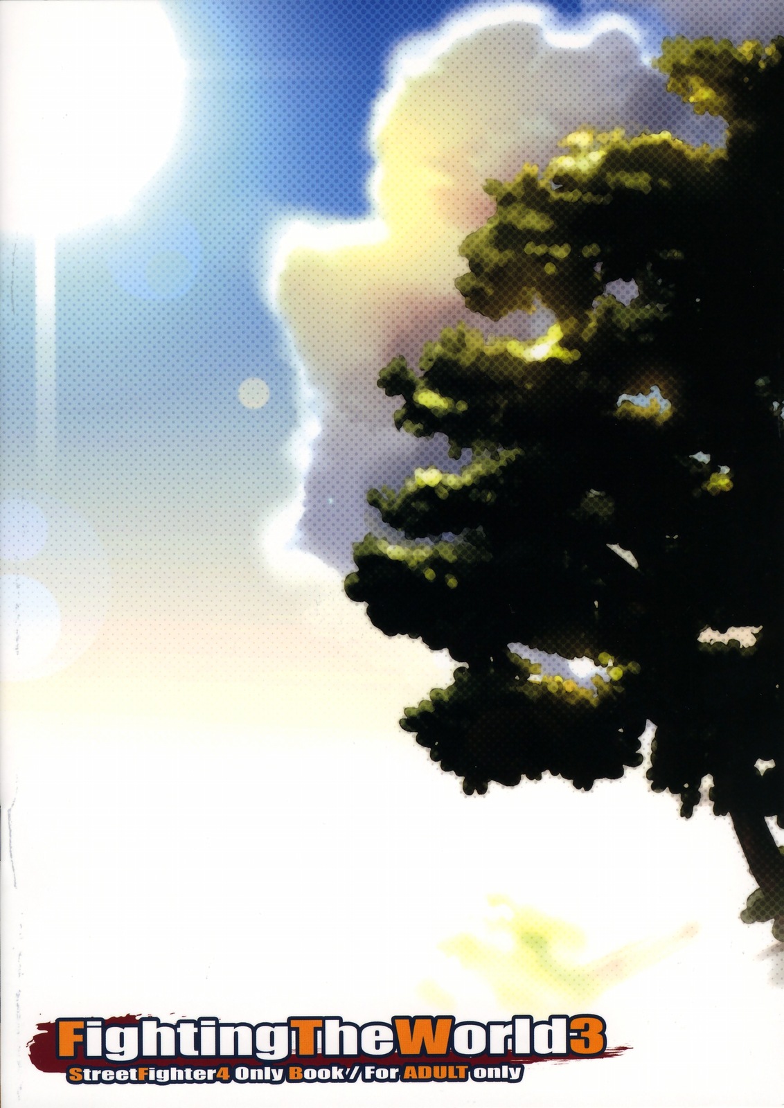 (C75) [ReDrop (Miyamoto Smoke, otsumami)] Fighting The World 3 (Street Fighter) [Spanish] {Lanerte} imagen número 26