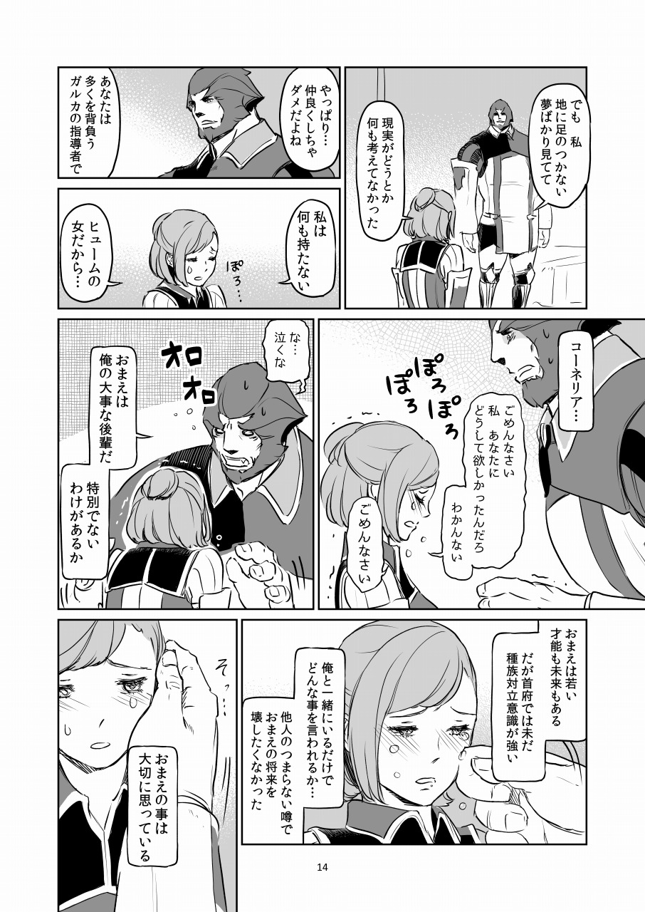 [Natsu Mica] 満 月 (Final Fantasy XI) numero di immagine  14