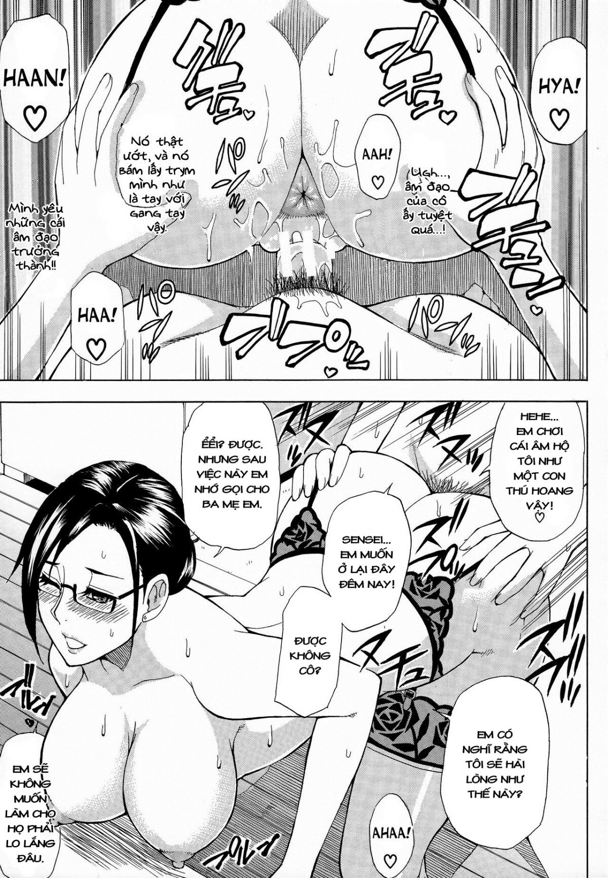 Petlife numero di immagine  25