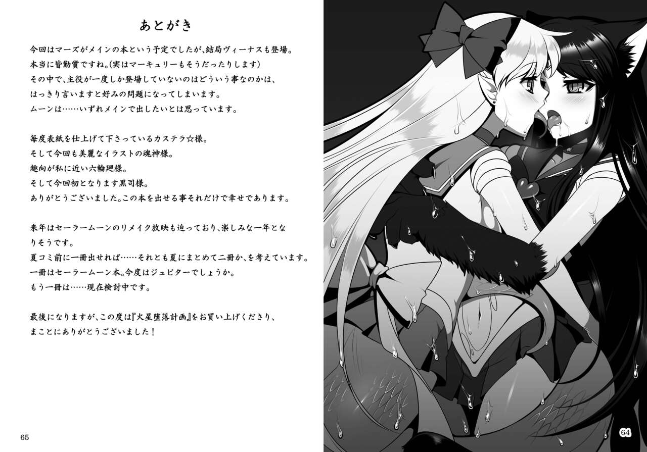 [Daraku Jiko Chousa Iinkai (Various)] Kasei Daraku Keikaku (Bishoujo Senshi Sailor Moon) [Digital] Bildnummer 33