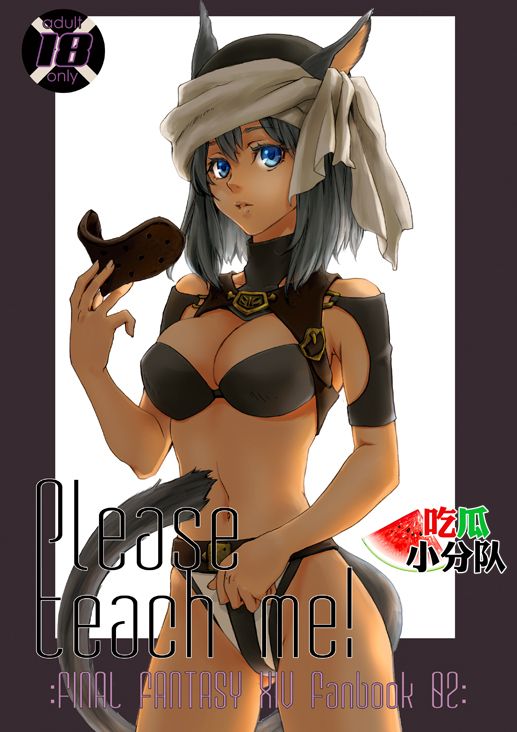 (C87) [Akai Tsubasa (Tachibana Chata)] Please teach me! (Final Fantasy XIV) [Chinese] [吃瓜小分队汉化组] première image