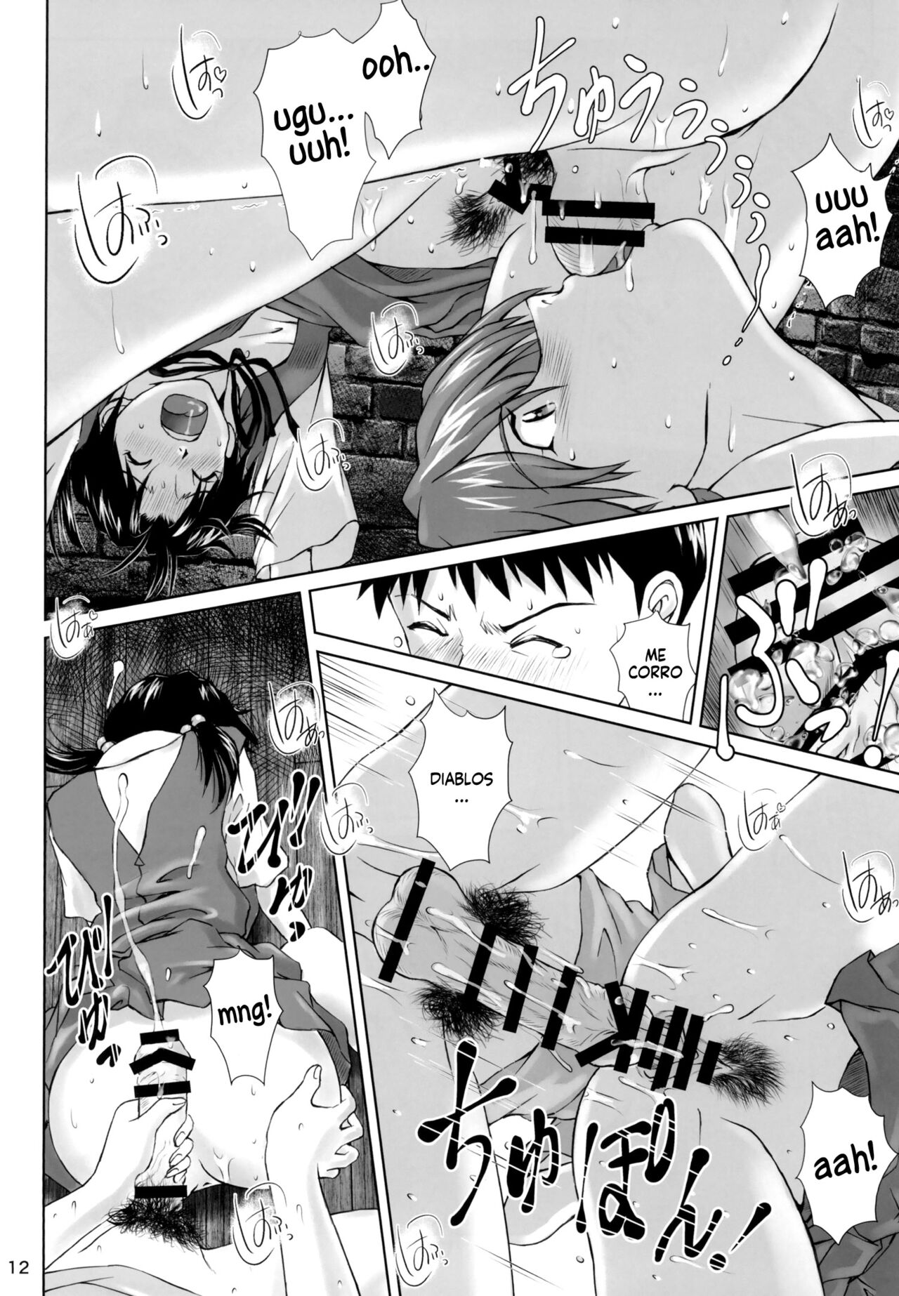 [Tengu no Tsuzura (Kuro Tengu)] Side effect (Neon Genesis Evangelion) [Digital] [Spanish] [Harenchi no Fansub] 图片编号 12