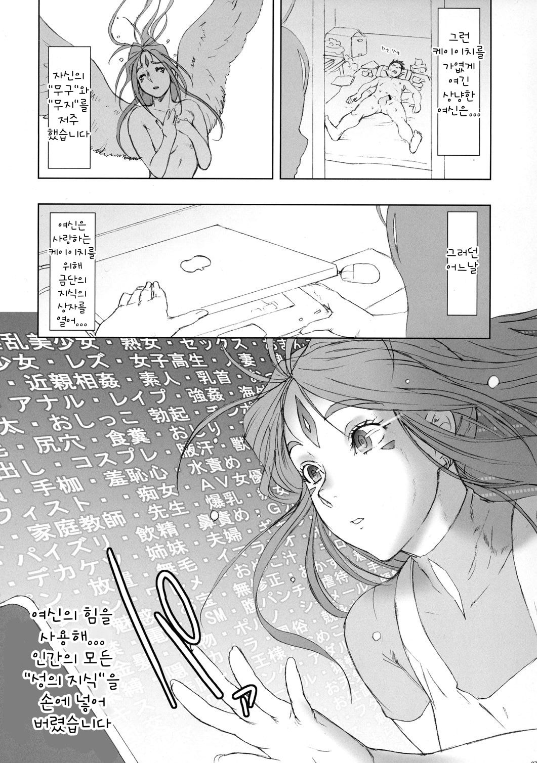 (C77) [Niku Ringo (Kakugari Kyoudai)] NIPPON CHANGE (Ah! My Goddess) [Korean] [Incomplete] 画像番号 6