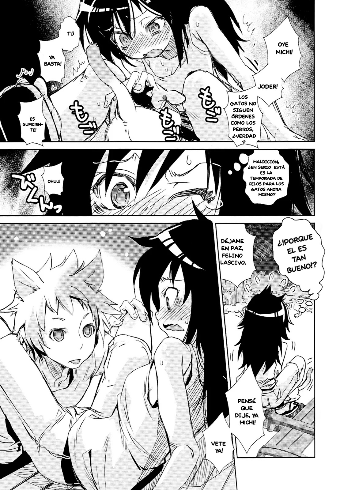 AHORA SOY POPULAR PERO CON LOS GATOS 图片编号 4