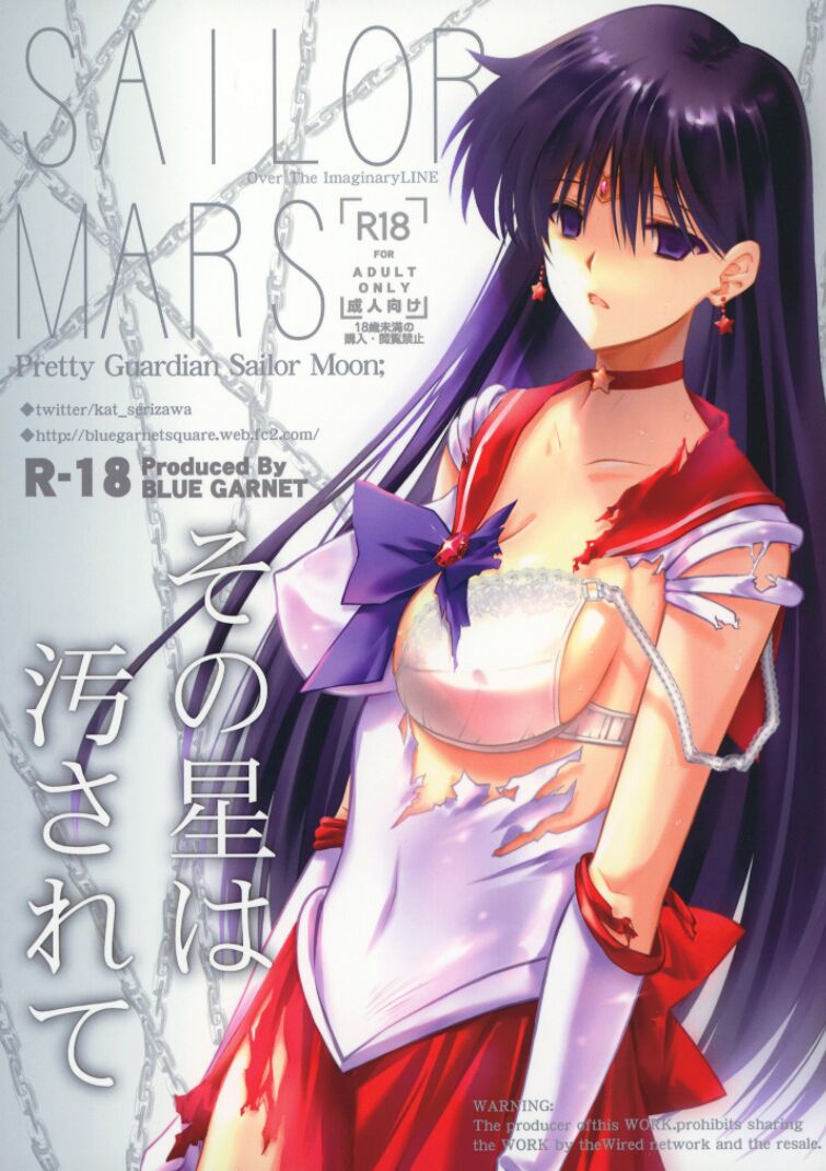 (C100) [Blue Garnet (Serizawa Katsumi)] Sono Hoshi Ha Yogosarete | 그 별은 더럽혀져 (Bishoujo Senshi Sailor Moon) [Korean] Bildnummer 1