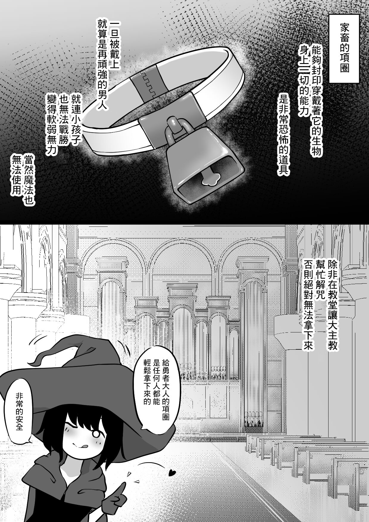 [Permission (Zandoro)] Nakama ni Uragirare Succubus ni Urareta Yuusha-sama no Ohanashi [Chinese] 이미지 번호 5