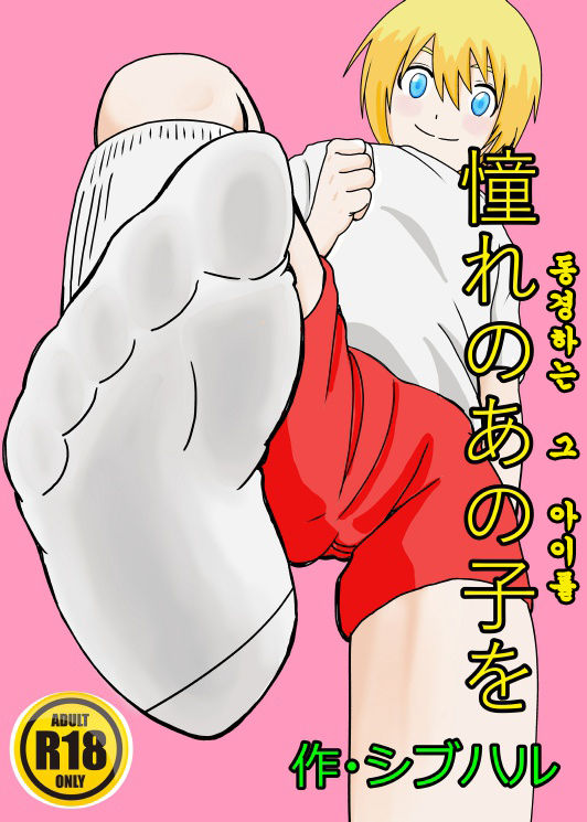 [Shivharu] Akogare no Anoko o [Korean] 图片编号 1