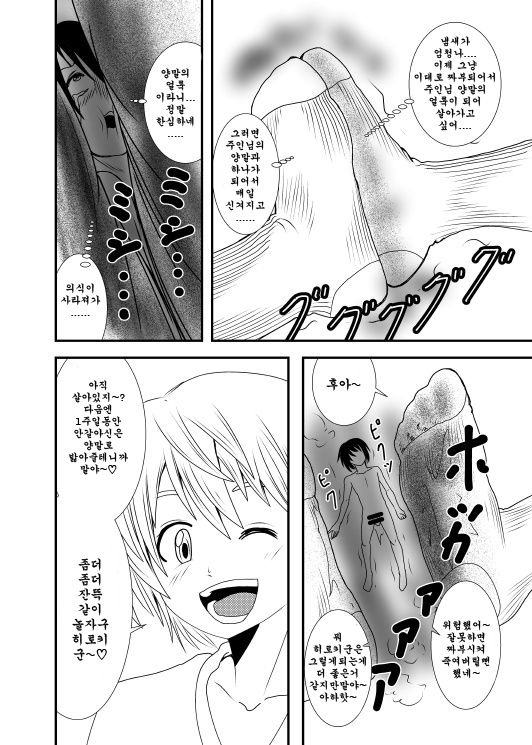 [Shivharu] Akogare no Anoko o [Korean] 图片编号 27