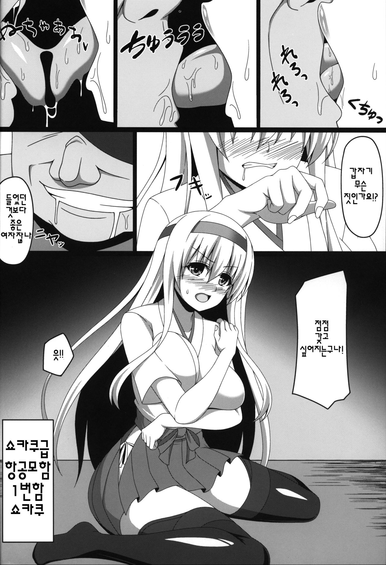 (C96) [Atsugari Giyuugun (Militia)] Kantai Akuochi Keikaku 2 ~Shoukaku Hen~ (Kantai Collection -KanColle-) [korean] 画像番号 3