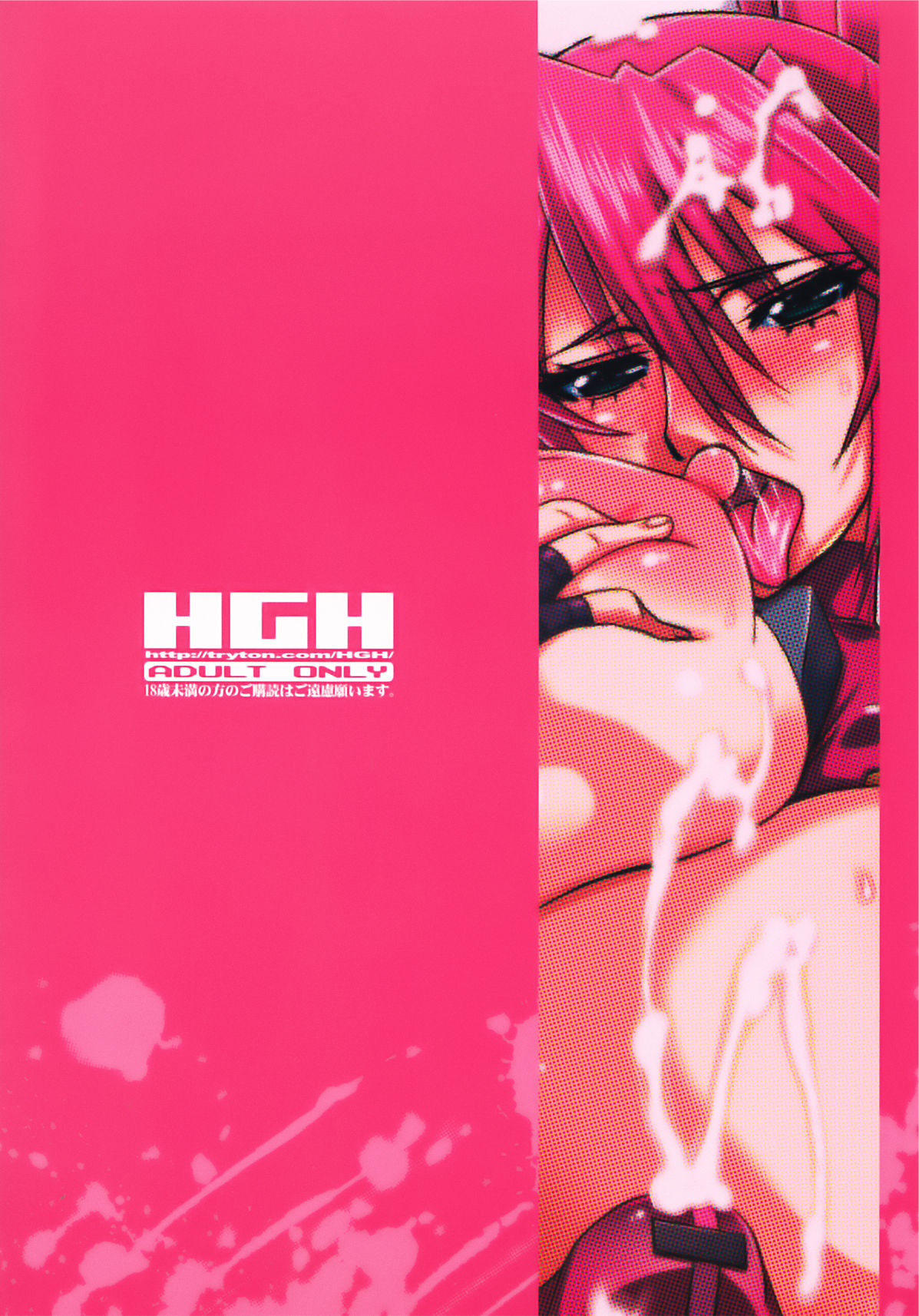 (Futaket 8) [HGH (HG Chagawa)] HGUC#01::Senshi ha Yoru Made Mate Nai (Mahou Shoujo Lyrical Nanoha) (Chinese) Bildnummer 2