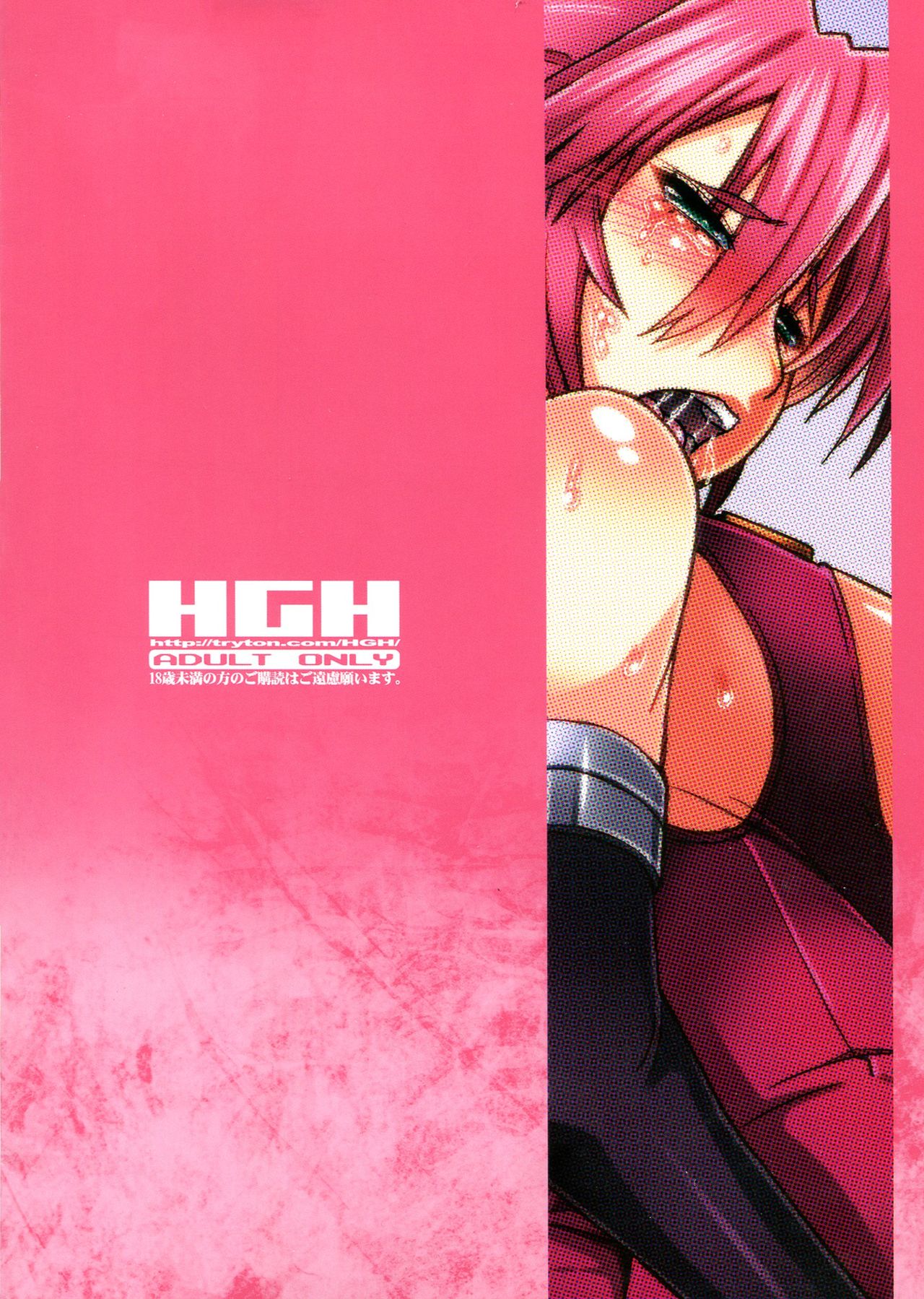 (C83) [HGH (HG Chagawa)] HGUC#03 - Senshi no Nikukabe wa Midara ni Hirogaru - (Mahou Shoujo Lyrical Nanoha) (Chinese) Bildnummer 2