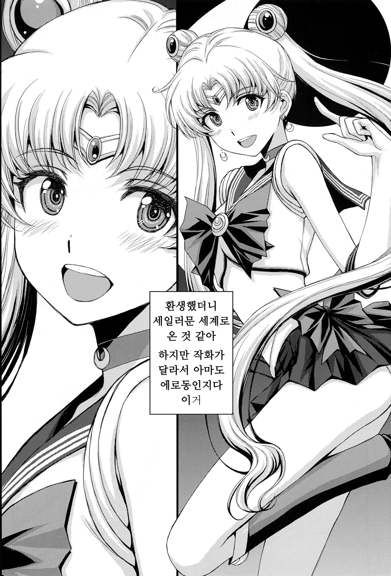 (COMIC1☆22) [Secret Society M (Kitahara Aki)] Pretty Guardian SAILORMOON (Bishoujo Senshi Sailor Moon) [Korean] 画像番号 5