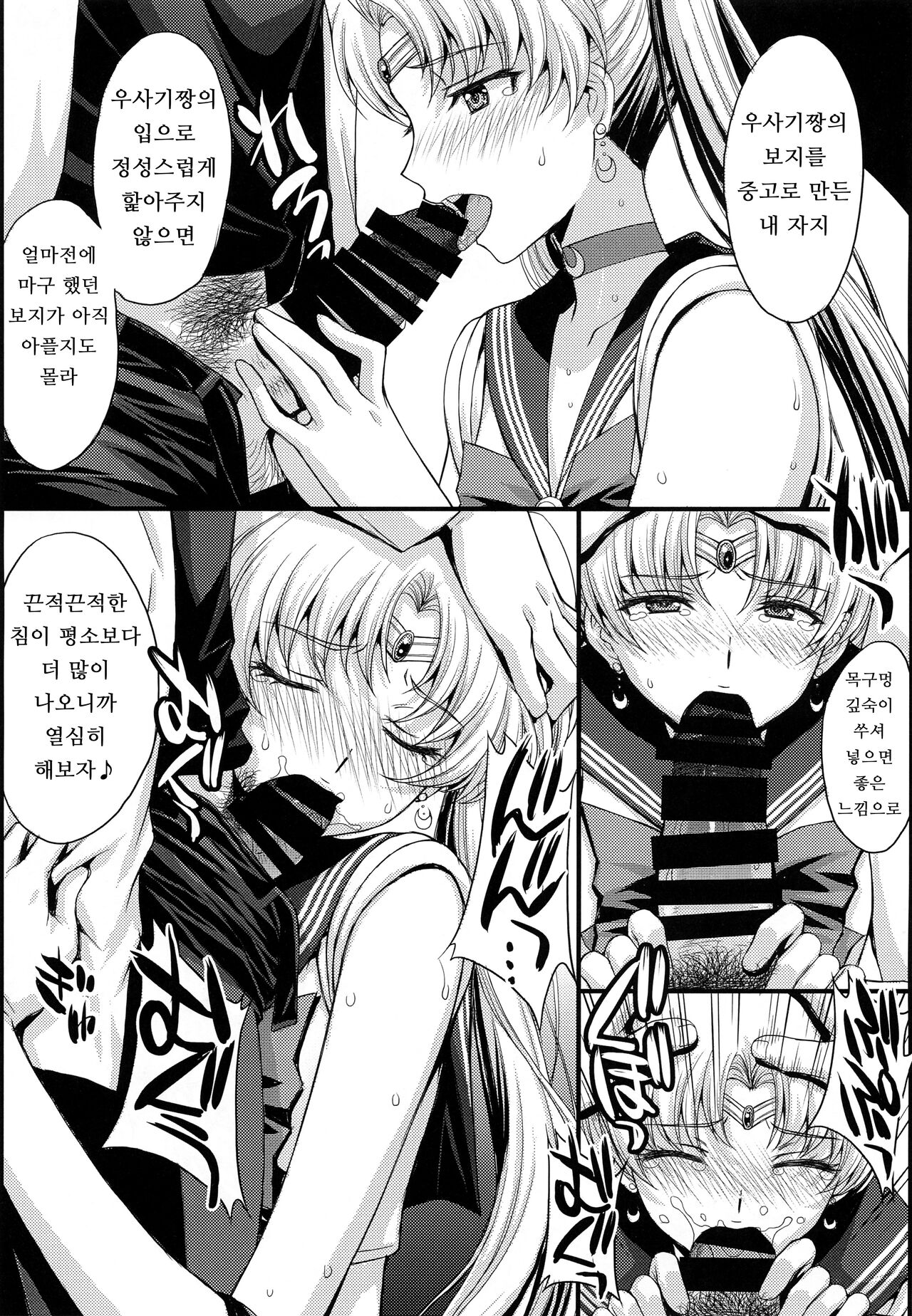(COMIC1☆22) [Secret Society M (Kitahara Aki)] Pretty Guardian SAILORMOON (Bishoujo Senshi Sailor Moon) [Korean] 画像番号 9