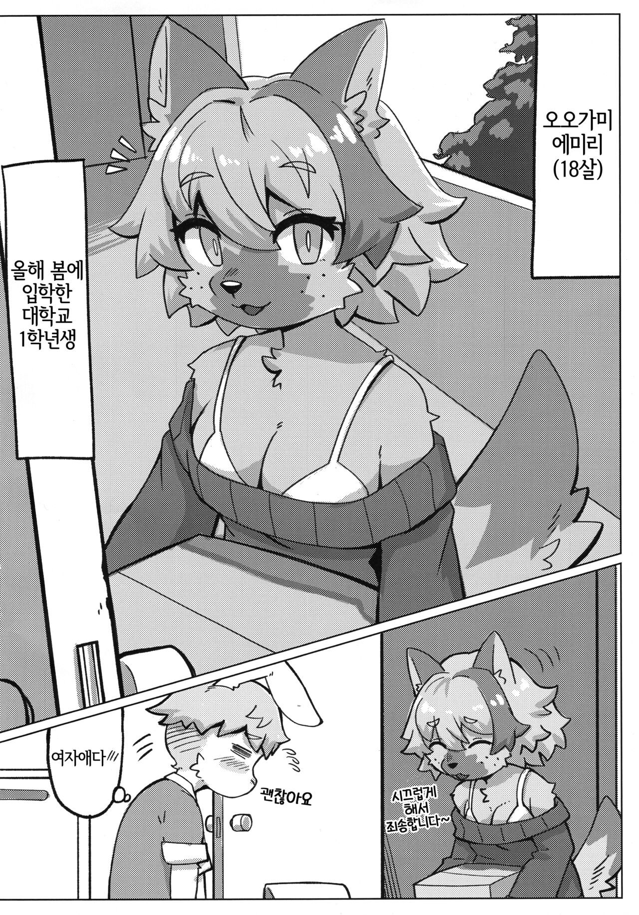 (Kemoket 13) [Teoruya-san (Teol)] Tonari ni Koshitekita Mono desu ga [Korean] [LWND] Bildnummer 3