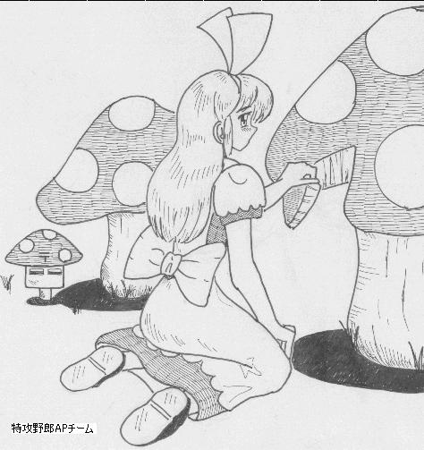 Alice AP 图片编号 1