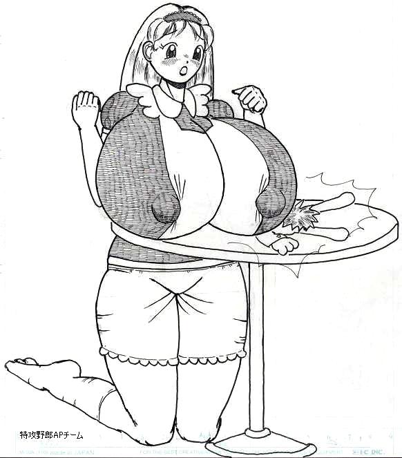 Alice AP 图片编号 12