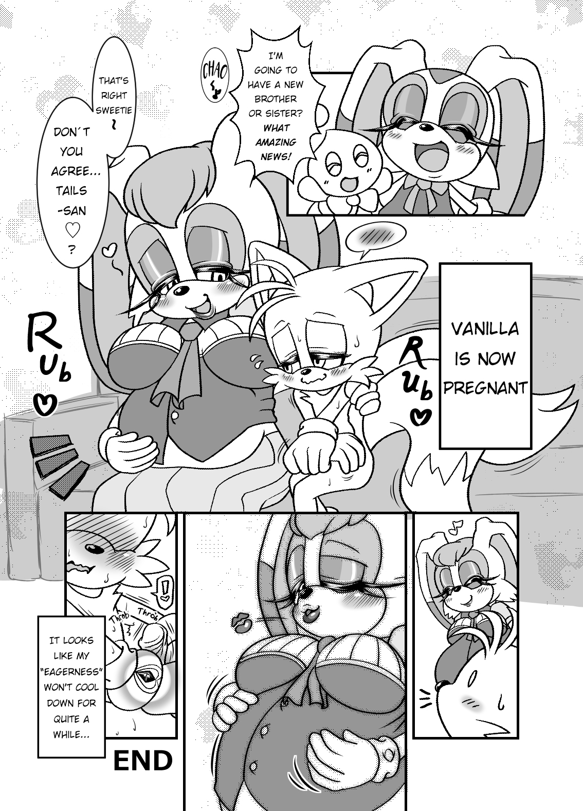 [Furry Fandom (Michiyoshi)] Kemono no Kanzume Toppatsu Hon 2013. No. 3 (Sonic The Hedgehog) [Enghlish] [Uncensored] [Digital] 图片编号 15