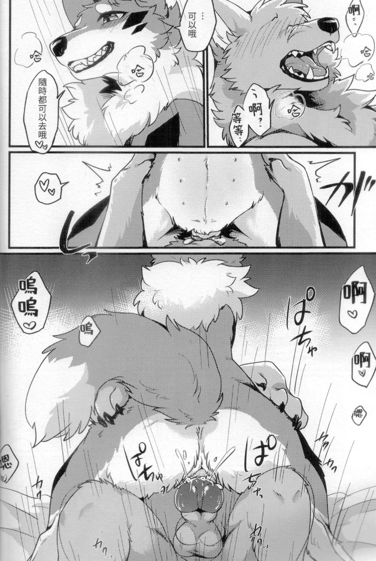 (獸無限 2022)[回転ParaDOGs (奈賀つくね)] 狐犬台灣美食旅[中国語] numero di immagine  15