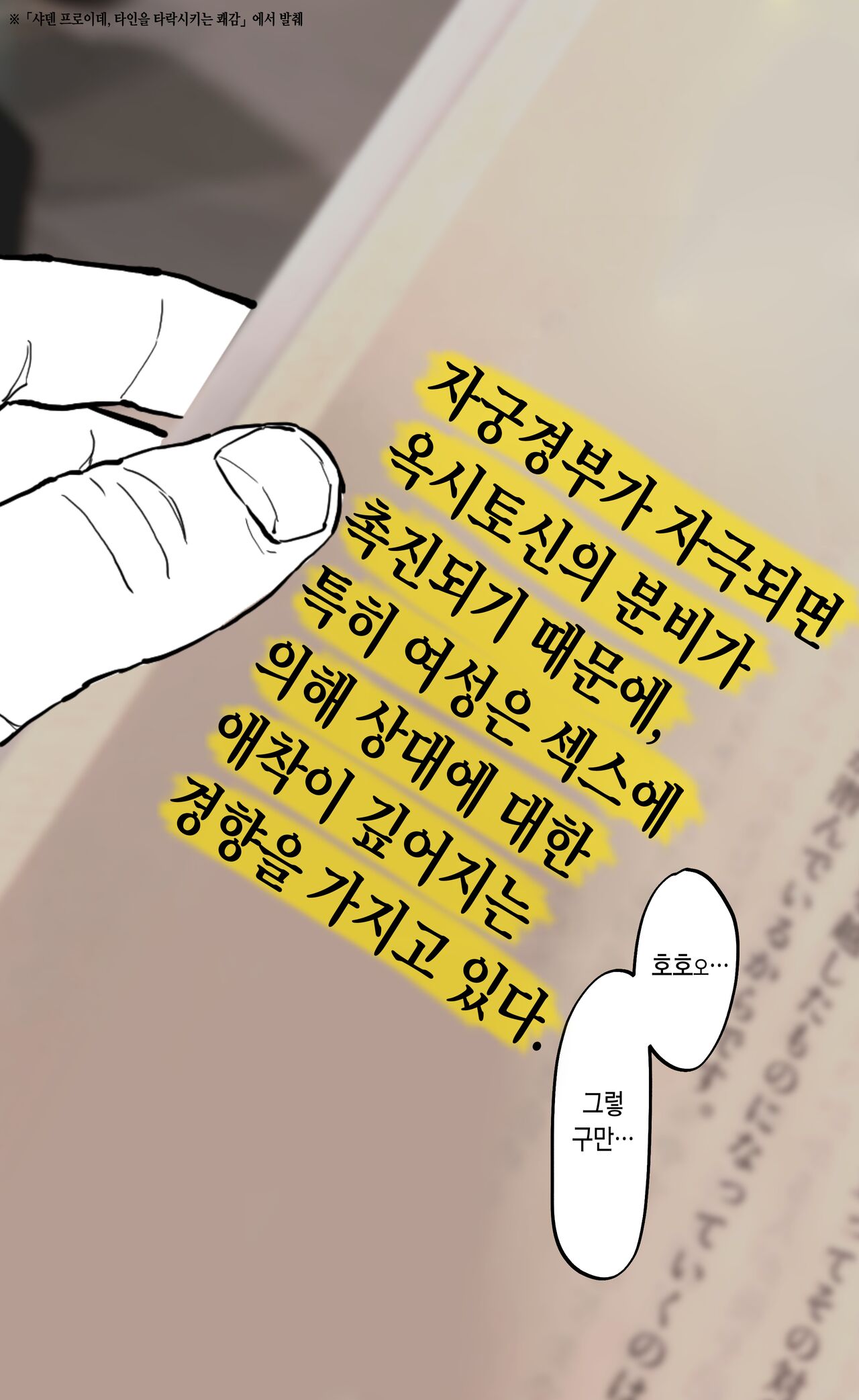 [Poriuretan] Maid [Korean] [Decensored] Bildnummer 4