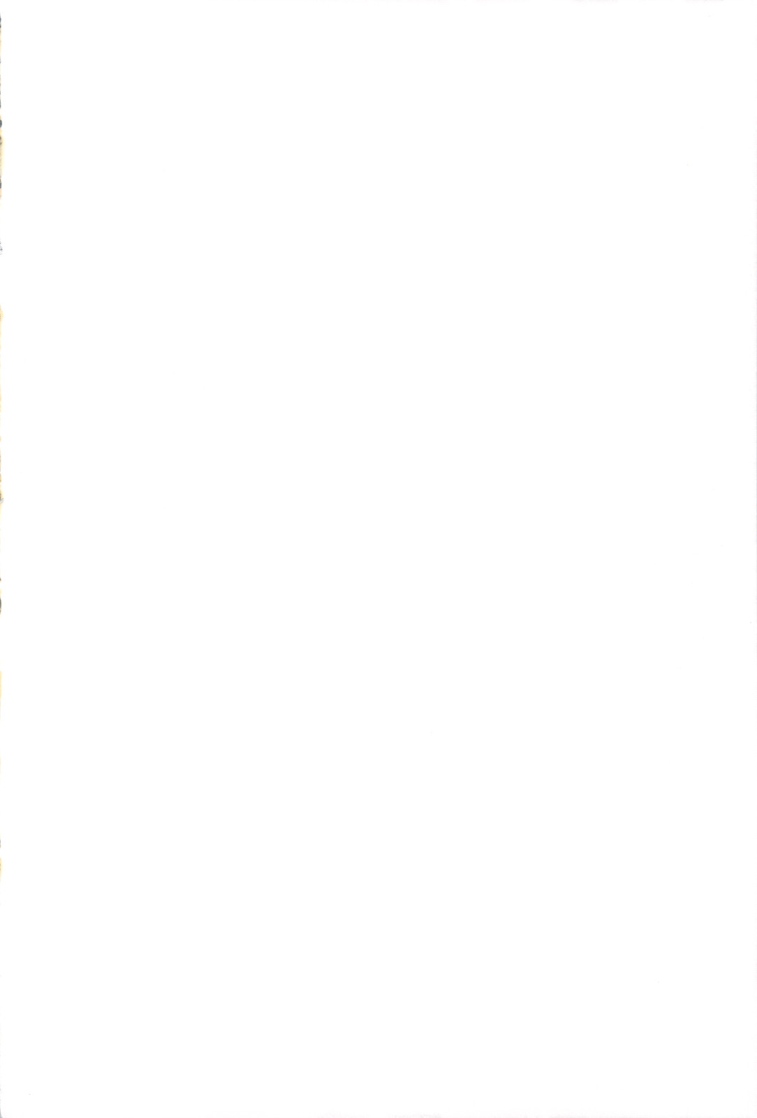 (C80) [Himeya (Abe Inori)] Saitei Rakusatsu Kakaku 2 (Seiken Densetsu 3) [Chinese] [386歪汉化] 画像番号 3