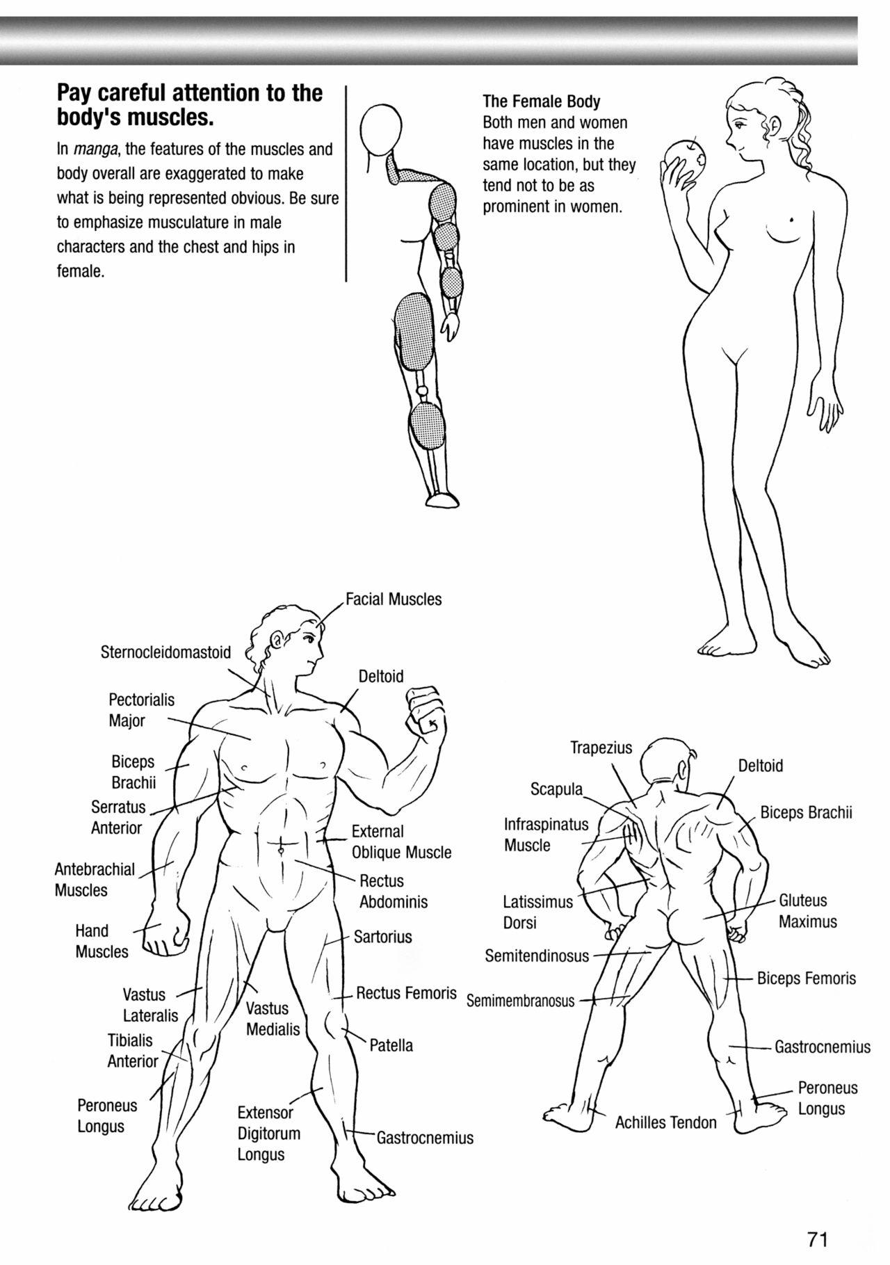 How to Draw Manga Vol. 8 - Super Basics by Angel Matsumoto 画像番号 75