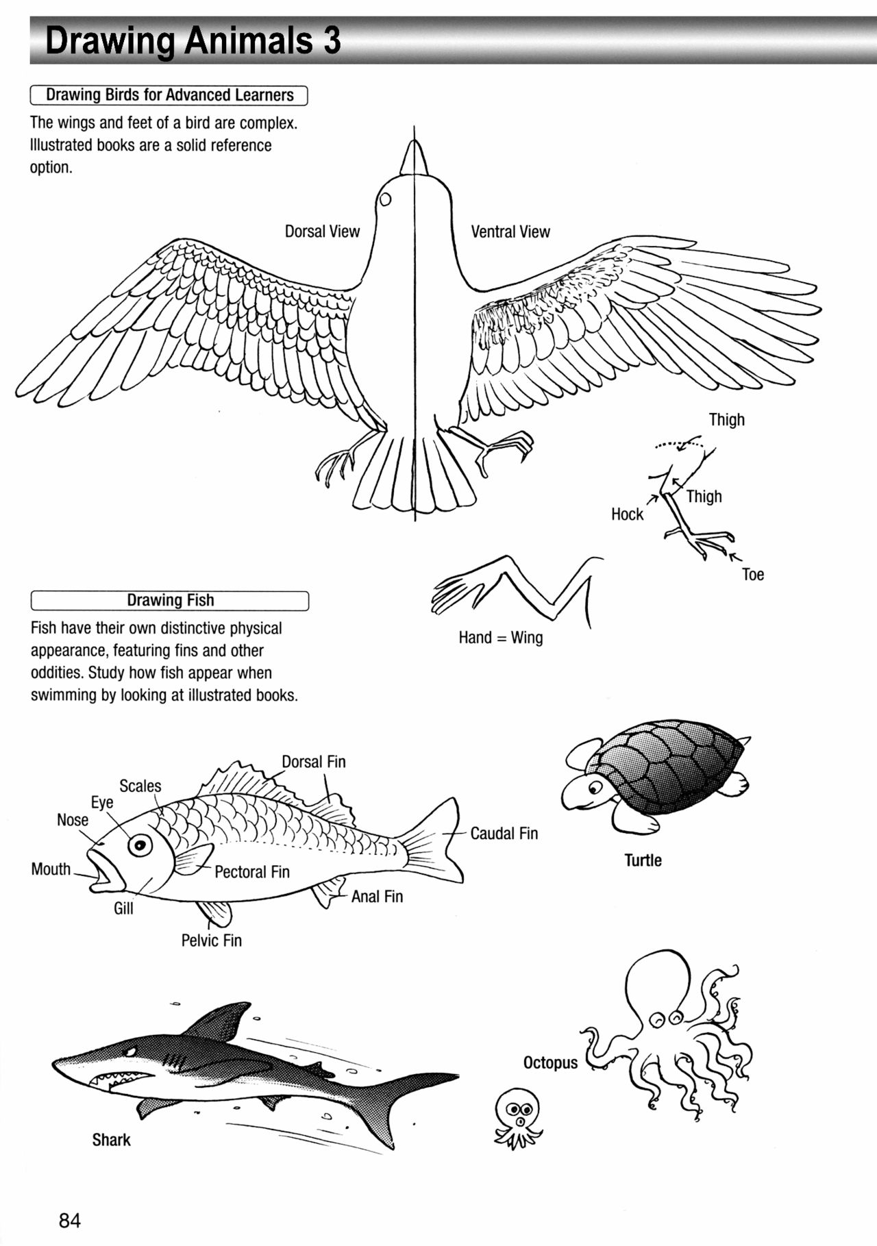 How to Draw Manga Vol. 8 - Super Basics by Angel Matsumoto 画像番号 88